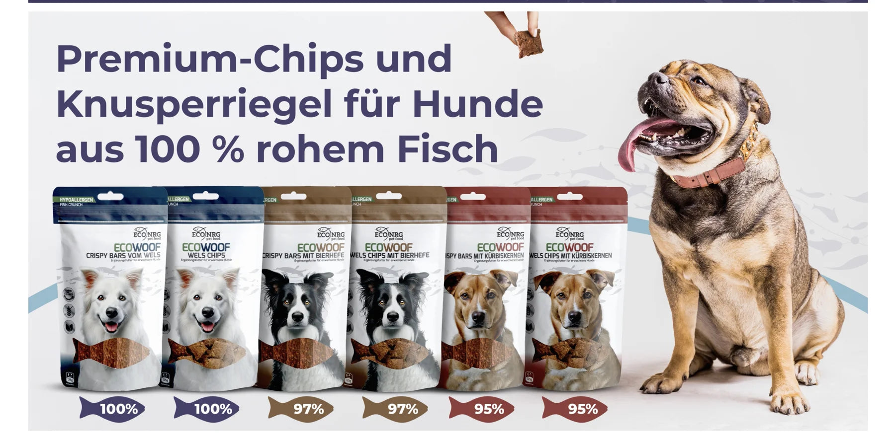Hund freut sich auf einen Fischsnack