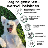 PETEFCO | ACTIVE BITES | 80% pește | 3x100g | recompense pentru câini