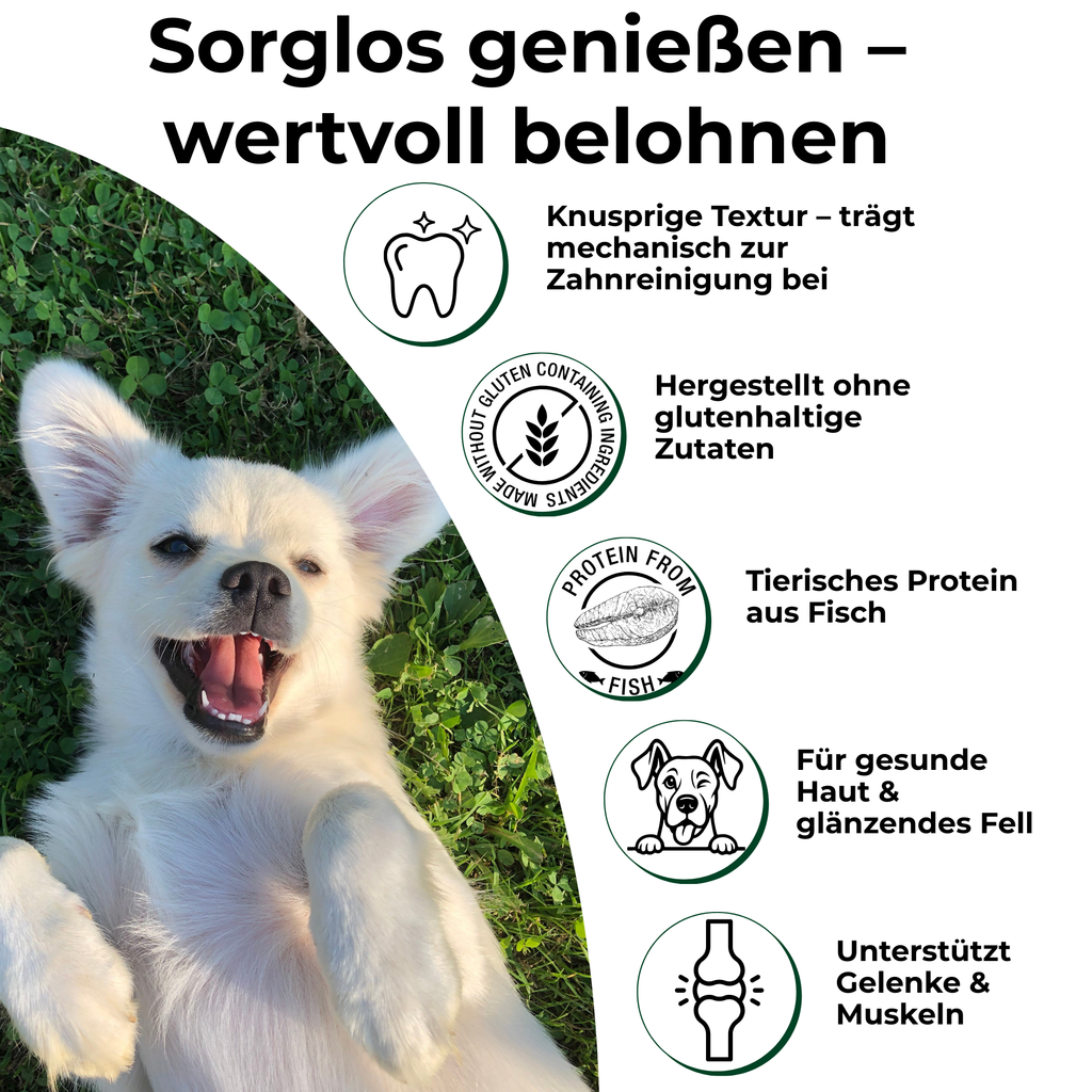 PETEFCO ACTIVE BITES 80% Fisch Hundesnacks 6x100g – glutenfrei, ohne Getreidezusätze mit Gluten