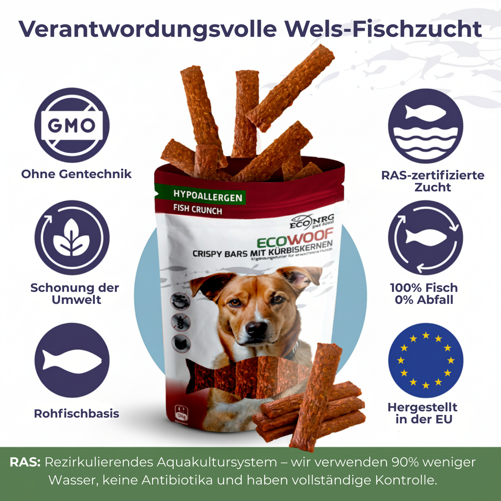 Crispy Bars aux graines de citrouille | 3x125g | récompense pour chiens