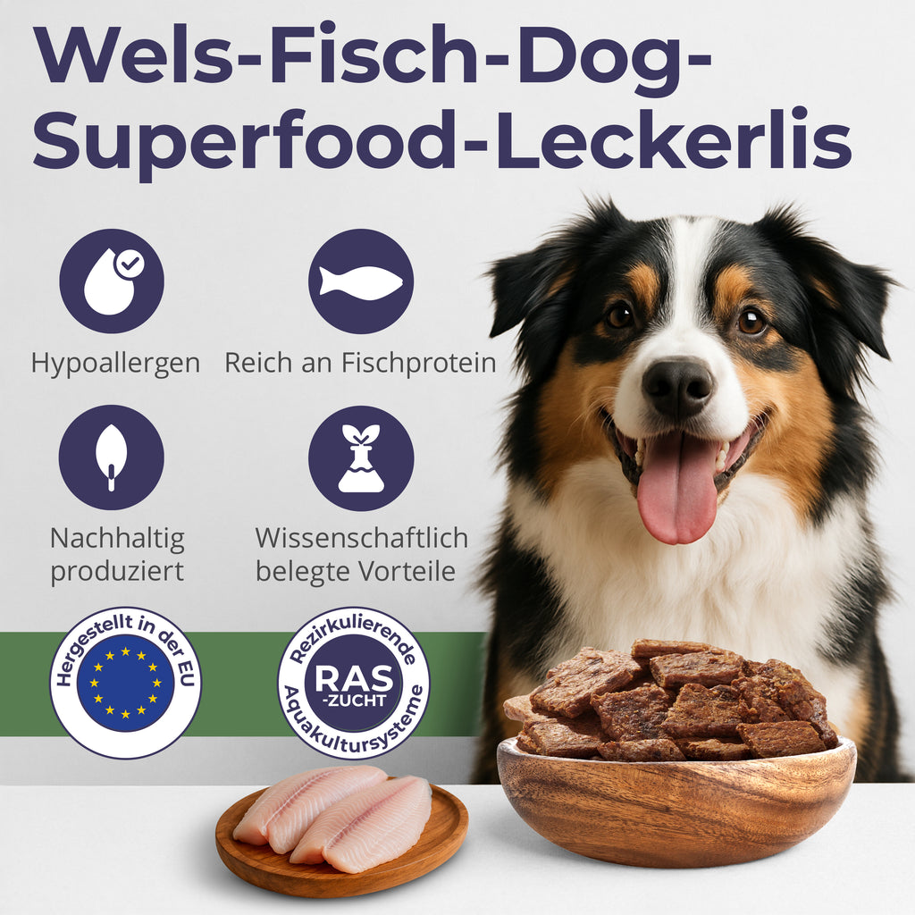 Chips aus Wels – MIX | Pur, Kürbis & Bierhefe | 3x125g | Belohnung für Hunde