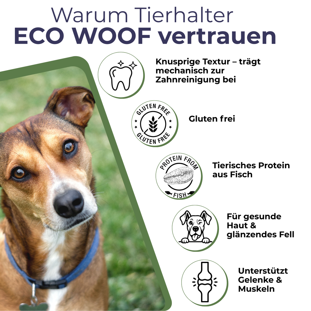 FISH CRUNCH | Filet de silure | 3×100g | Récompense pour chiens