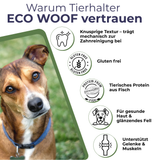 FISH CRUNCH | Welsstreifen | 3×100g | Belohnung für Hunde