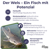 FISH CRUNCH | Welsstreifen | 3×100g | Belohnung für Hunde