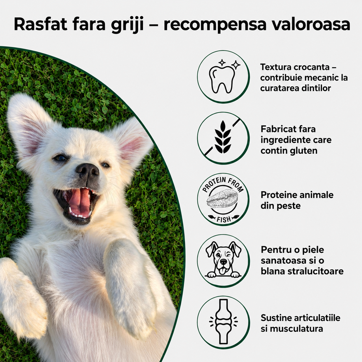 PETEFCO | ACTIVE BITES | 80% Fish | 3x100g | recompensa pentru caini