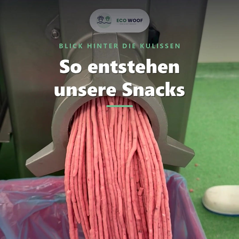 So entstehen unsere Snacks – Produktion der ECO WOOF Snacks aus Wels, hergestellt in der EU