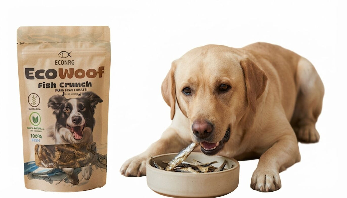 Chien mangeant une friandise de sprat séché