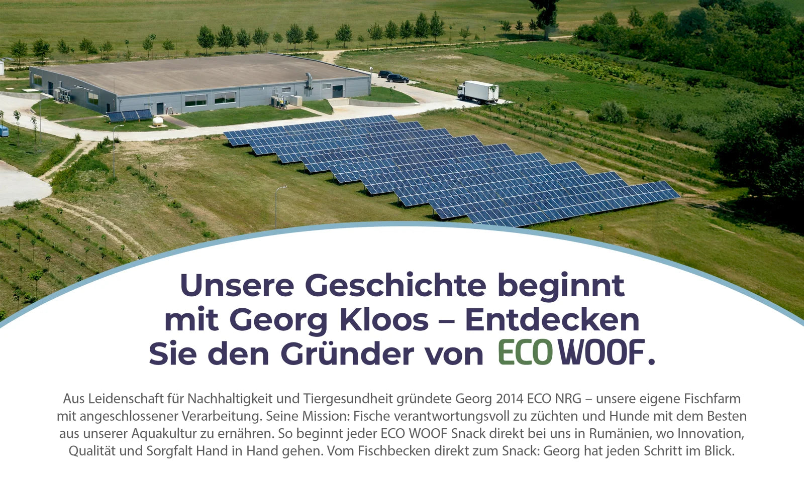 Luftaufnahme der ECO NRG Anlage in Rumänien mit Produktionsgebäude und Solarmodulen